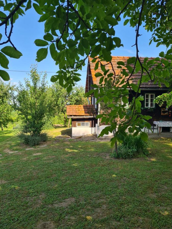 Holiday Home Hizica V Plavem Trnacu Gornja Stubica Exterior foto