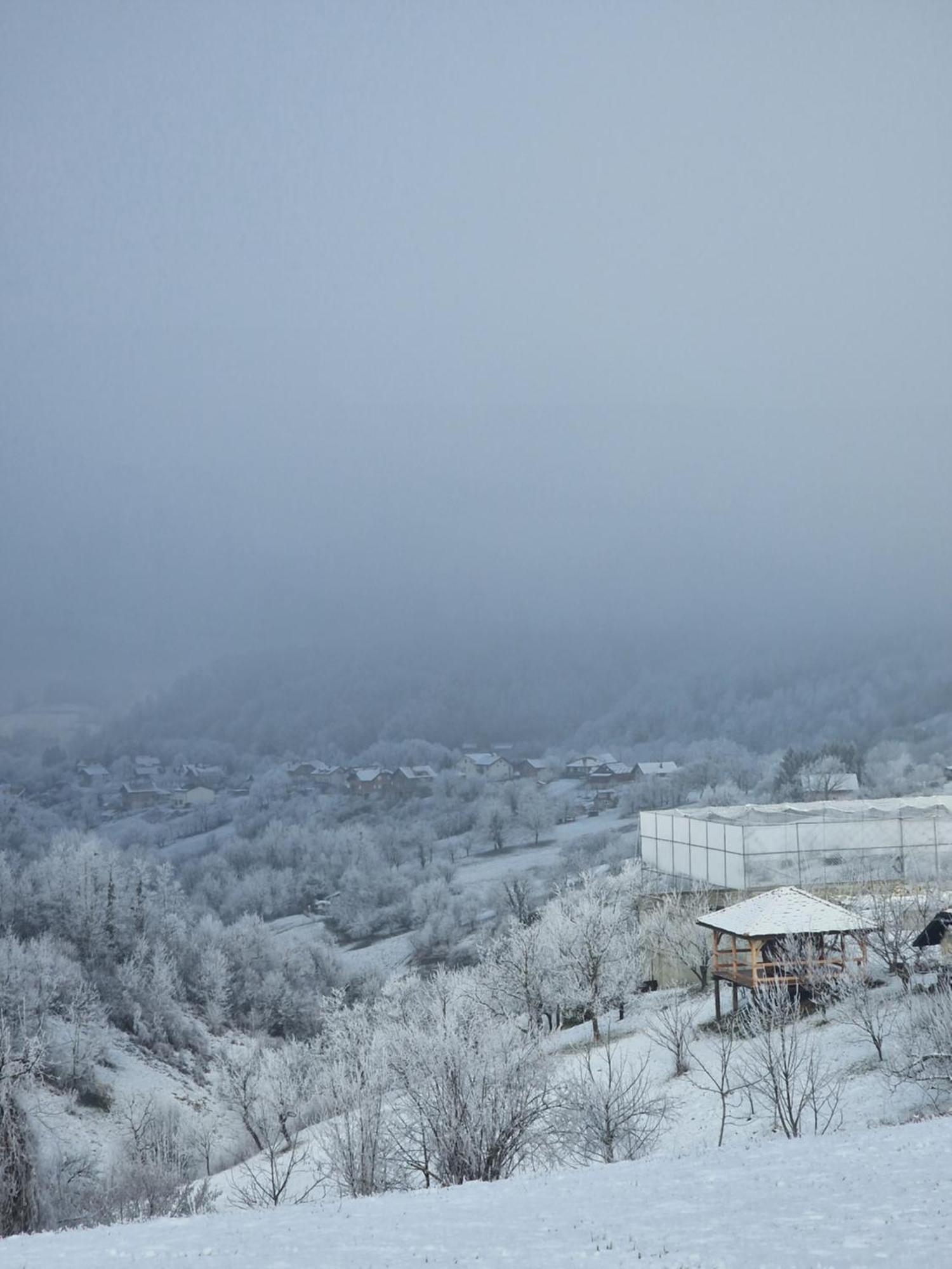 Holiday Home Hizica V Plavem Trnacu Gornja Stubica Exterior foto