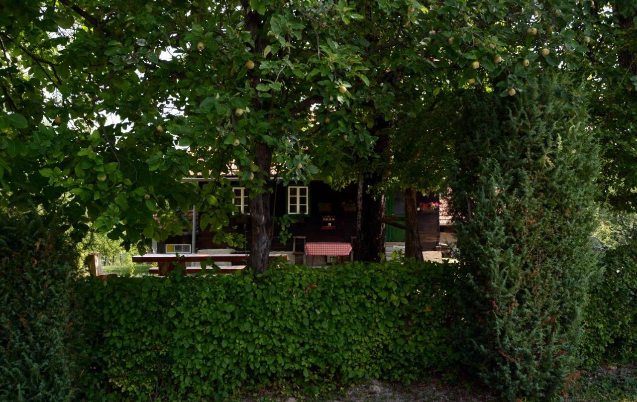 Holiday Home Hizica V Plavem Trnacu Gornja Stubica Exterior foto