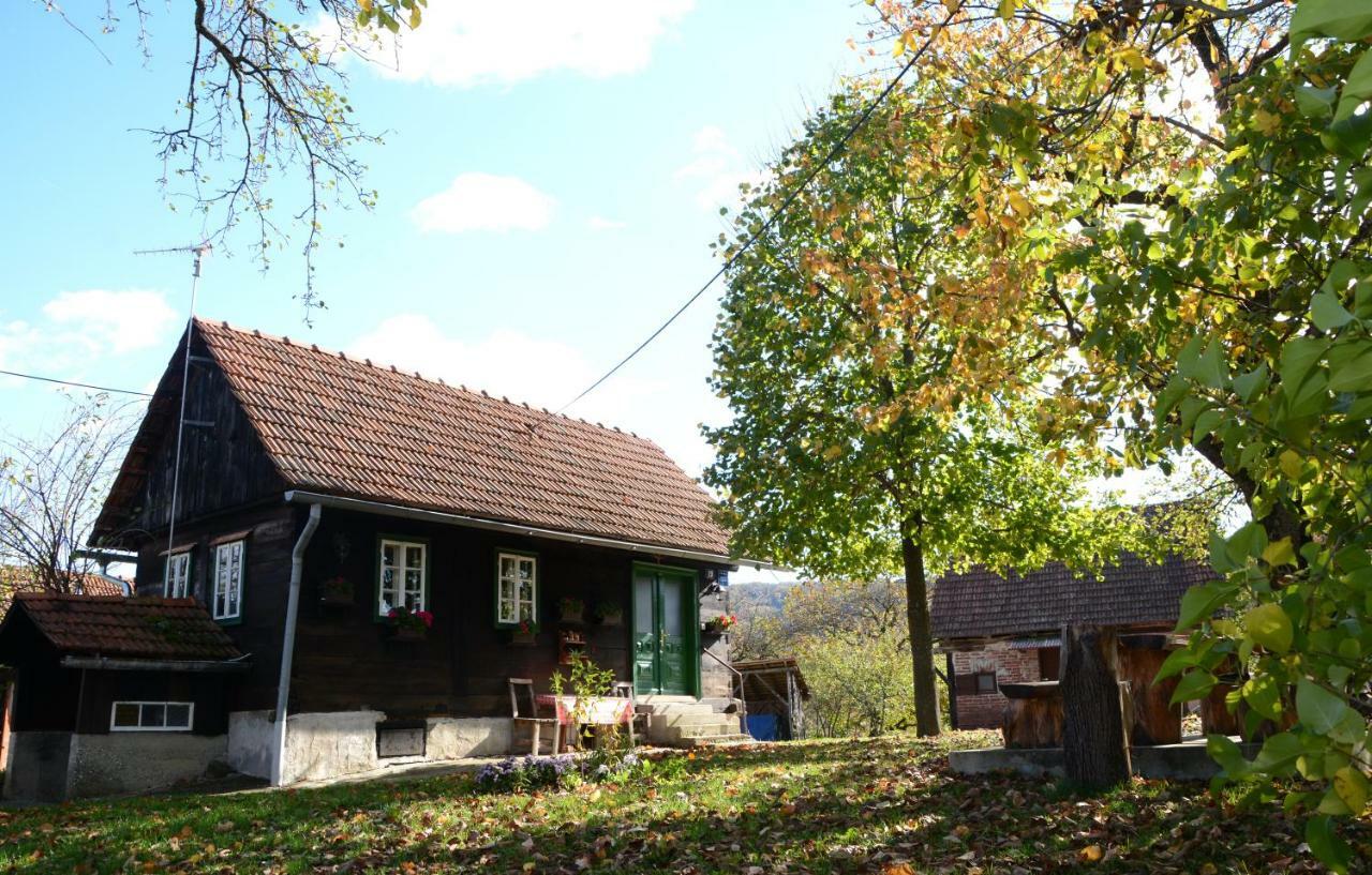 Holiday Home Hizica V Plavem Trnacu Gornja Stubica Exterior foto