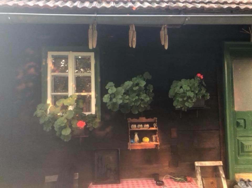 Holiday Home Hizica V Plavem Trnacu Gornja Stubica Exterior foto